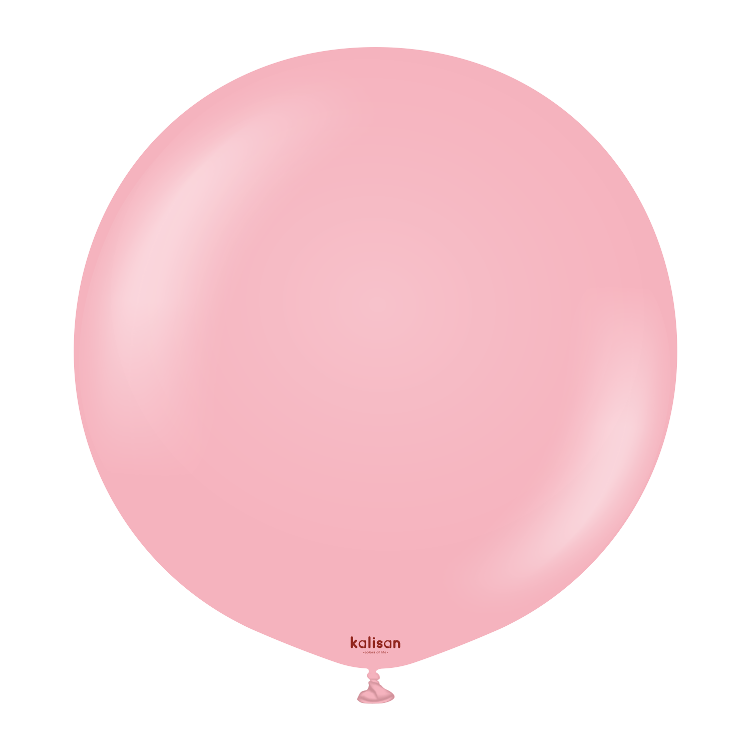 24" Standard Flamingo Pink (2 Stück)