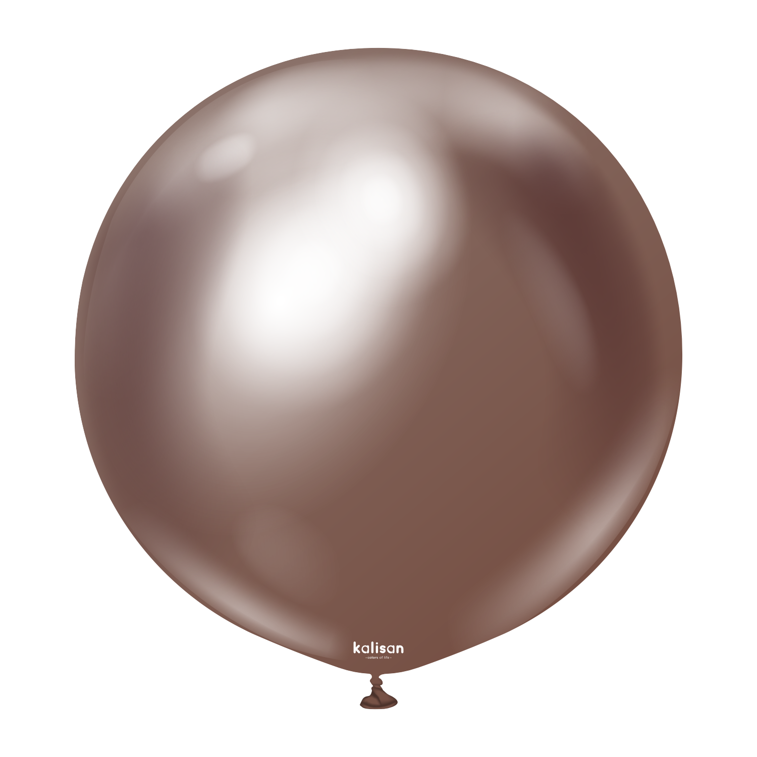 24" Mirror Chocolate (2 Stück)