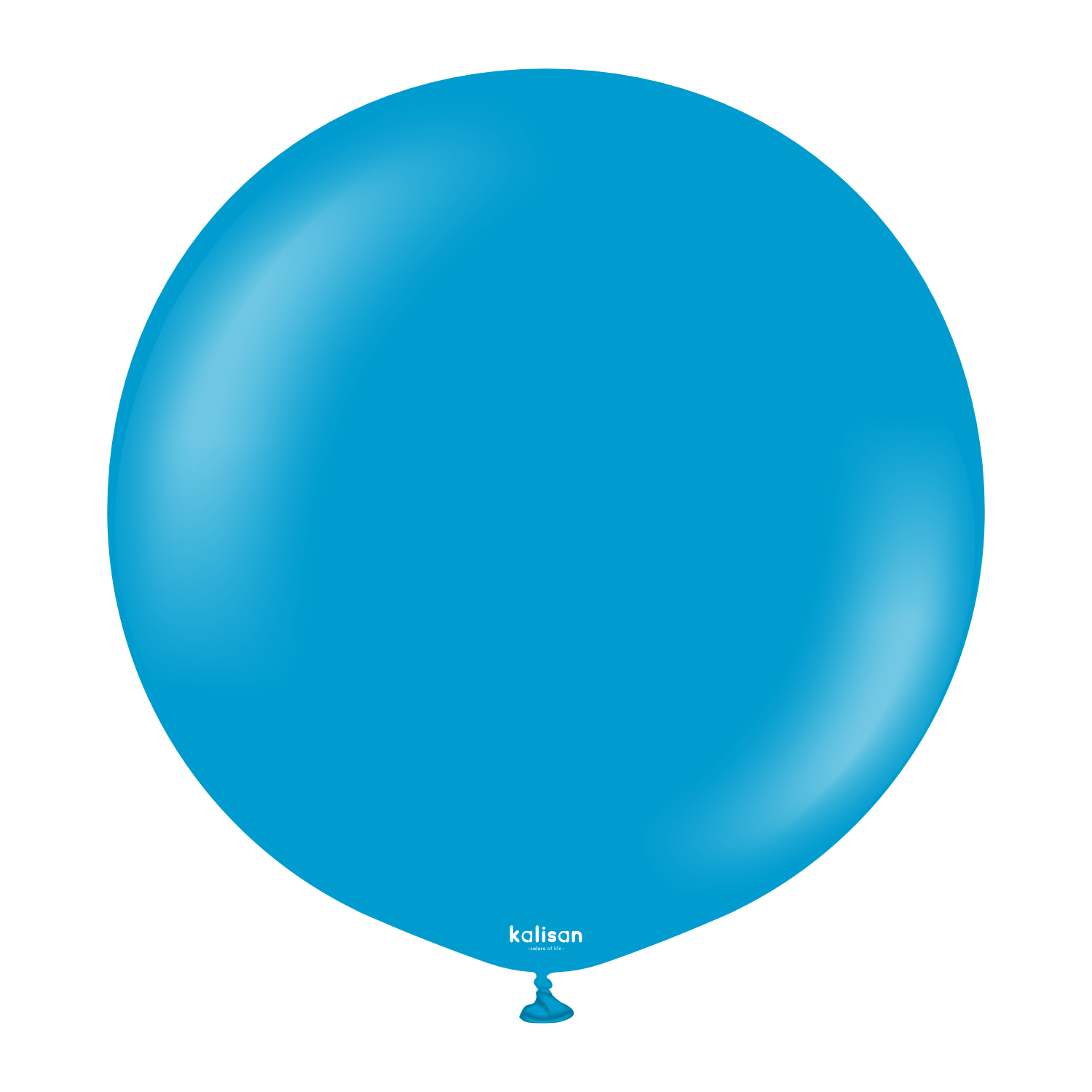 24" Standard Caribbean Blue (2 Stück)