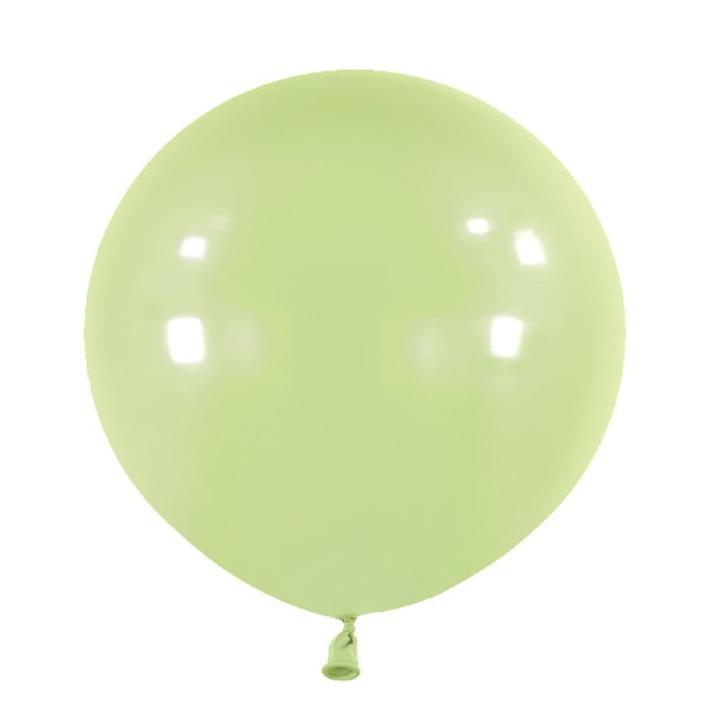 24" Fashion Sage (4 Stück)