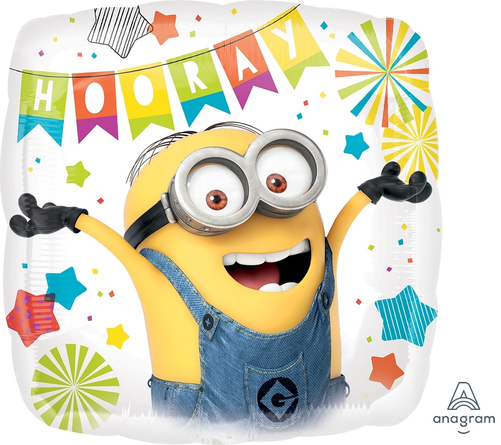 18" Despicable Me Party