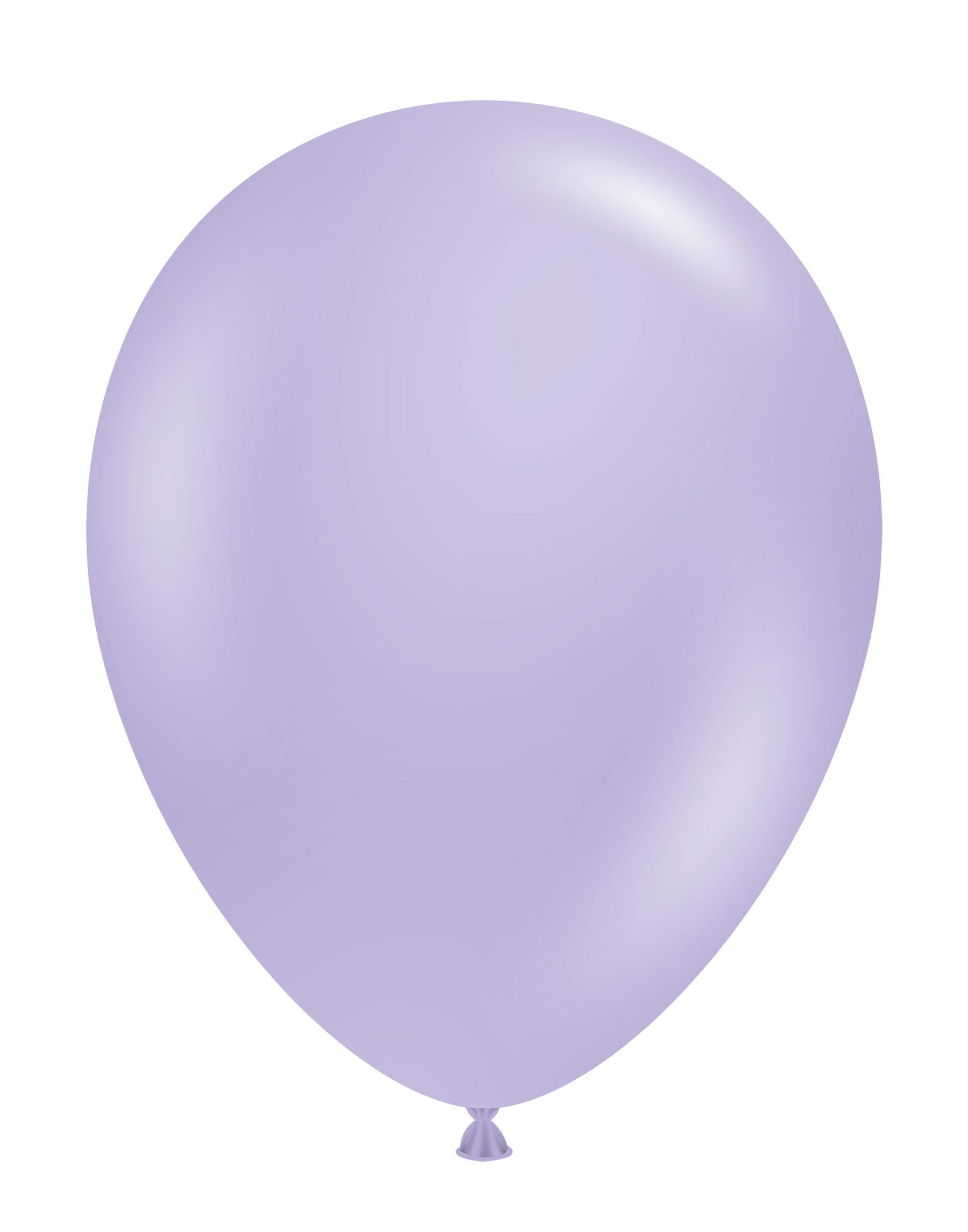 17" Blossom (25 Stück)