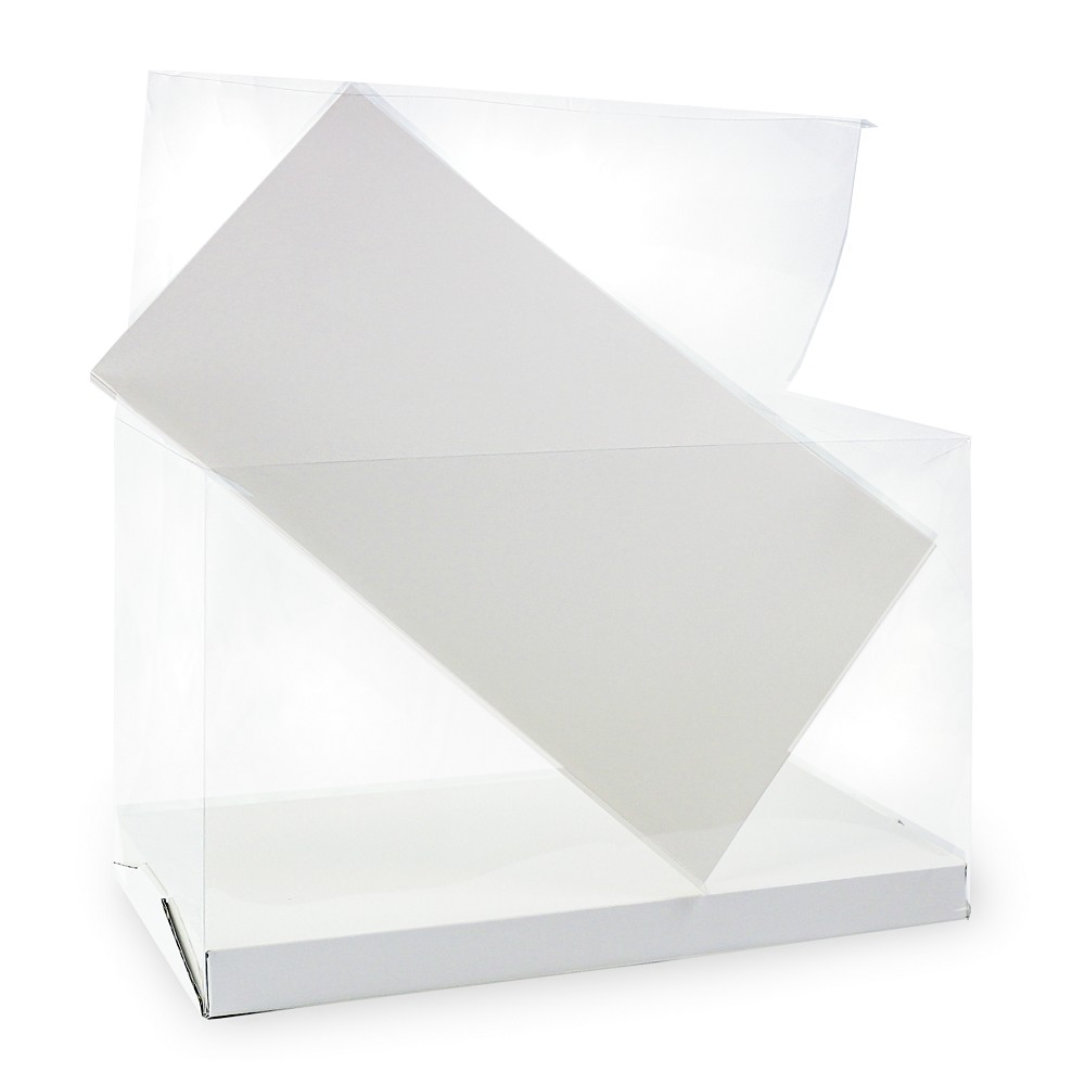 Verpackungskarton mit herausnehmbarer Rückwand (40x25x20)
