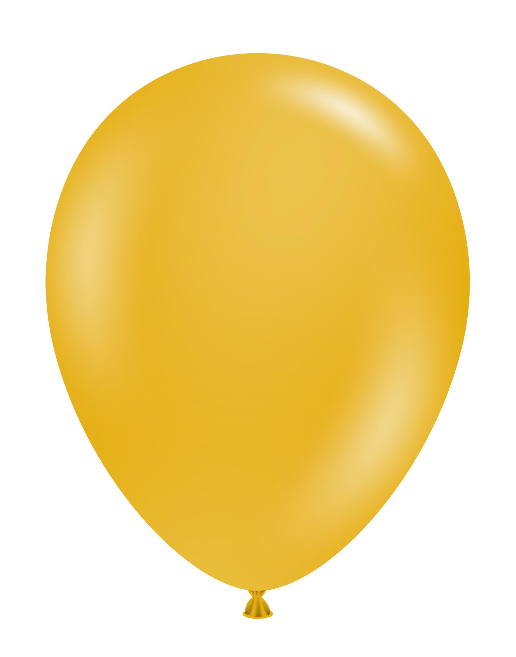 11" Mustard (100 Stück)