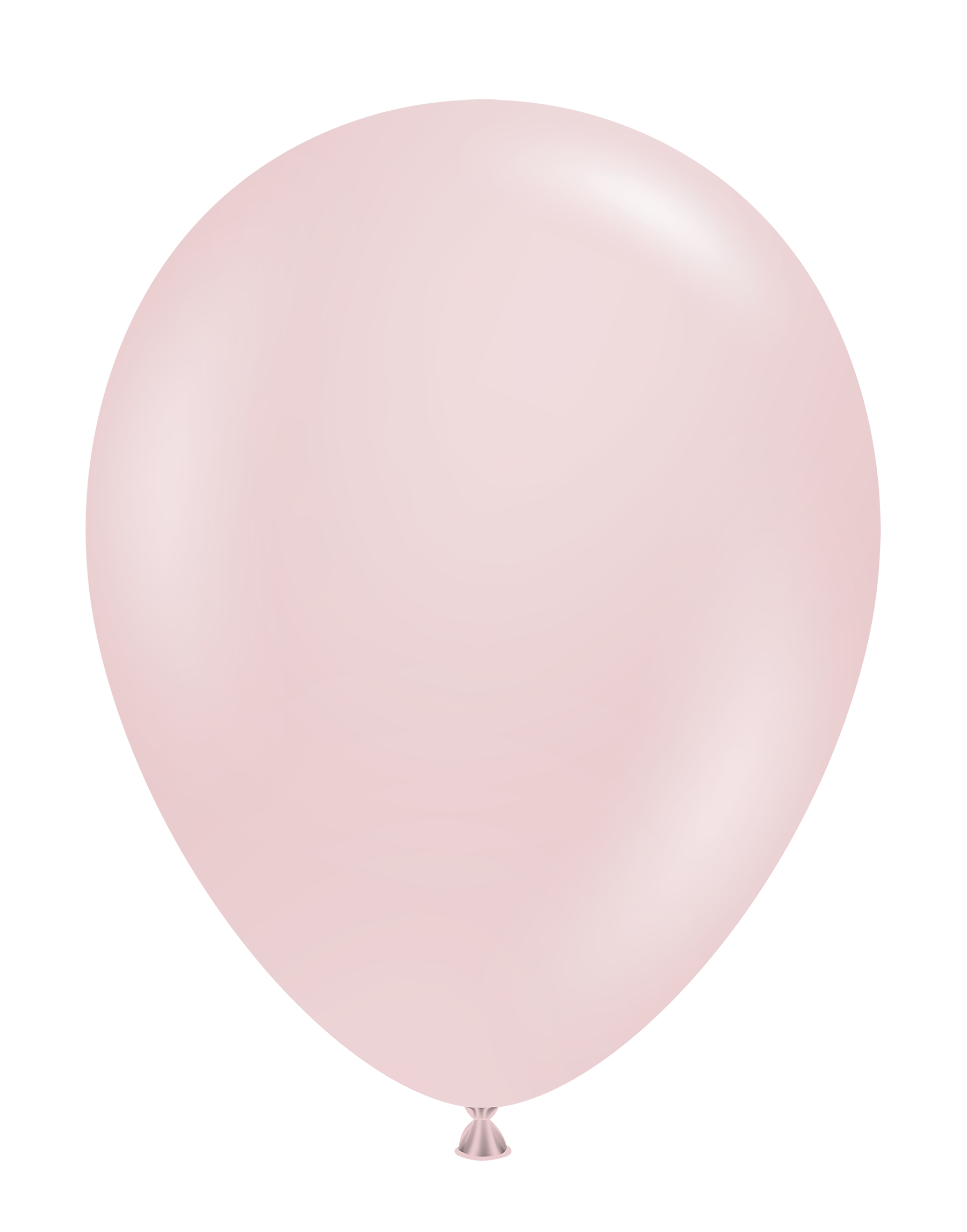 5" Cameo (50 Stück)