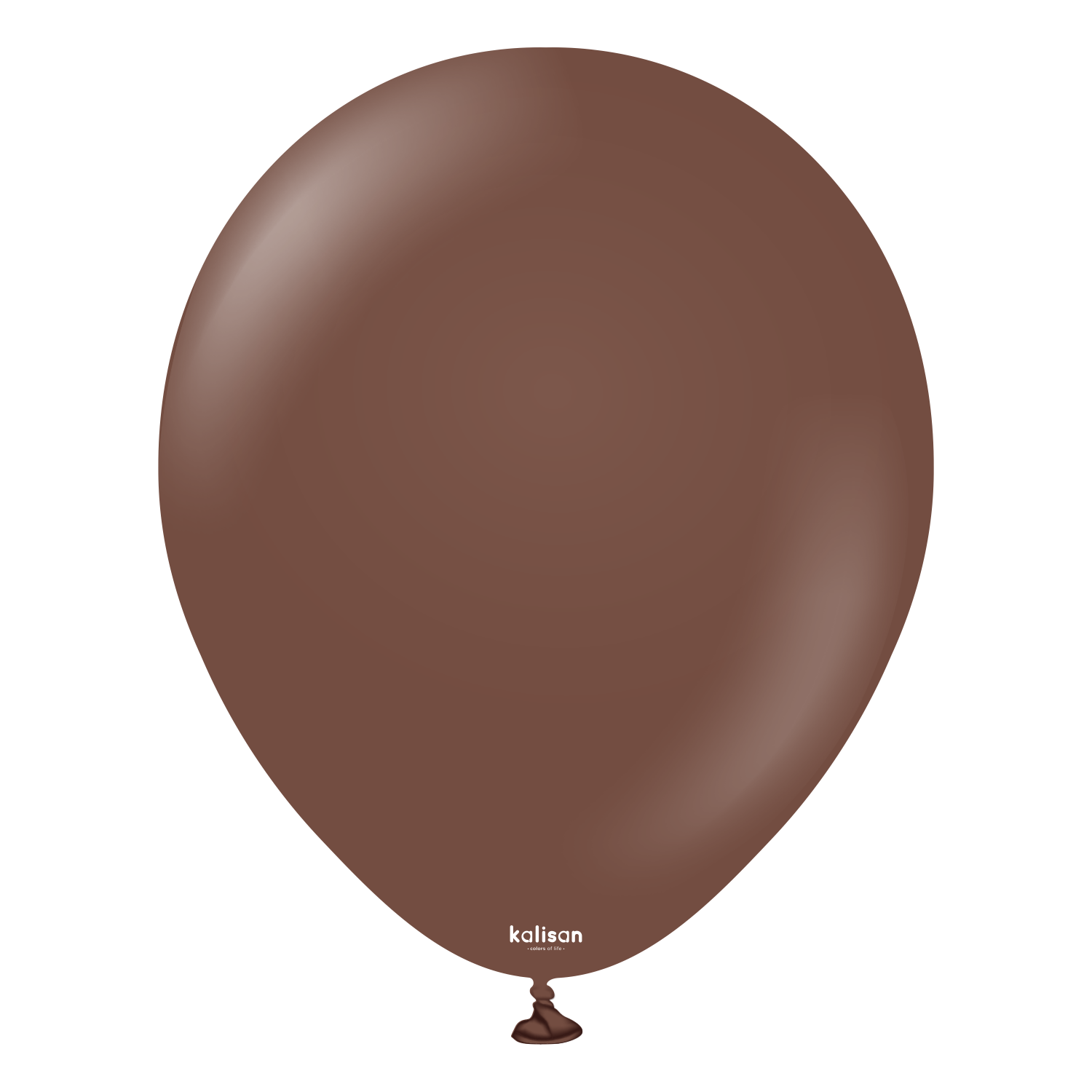 12" Standard Chocolate Brown (100 Stück)