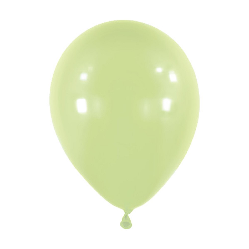 18" Fashion Sage (25 Stück)