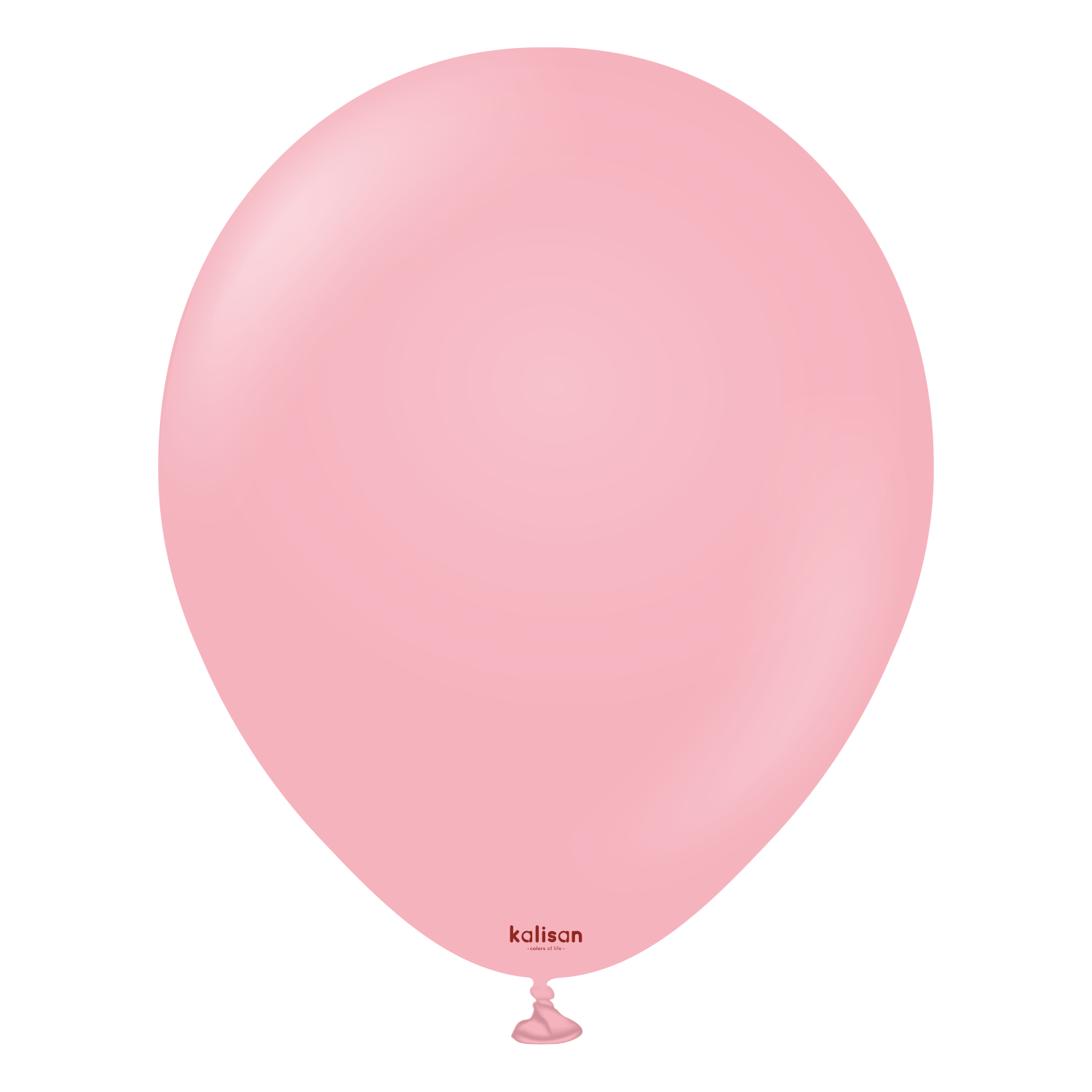 12" Standard Flamingo Pink (100 Stück)