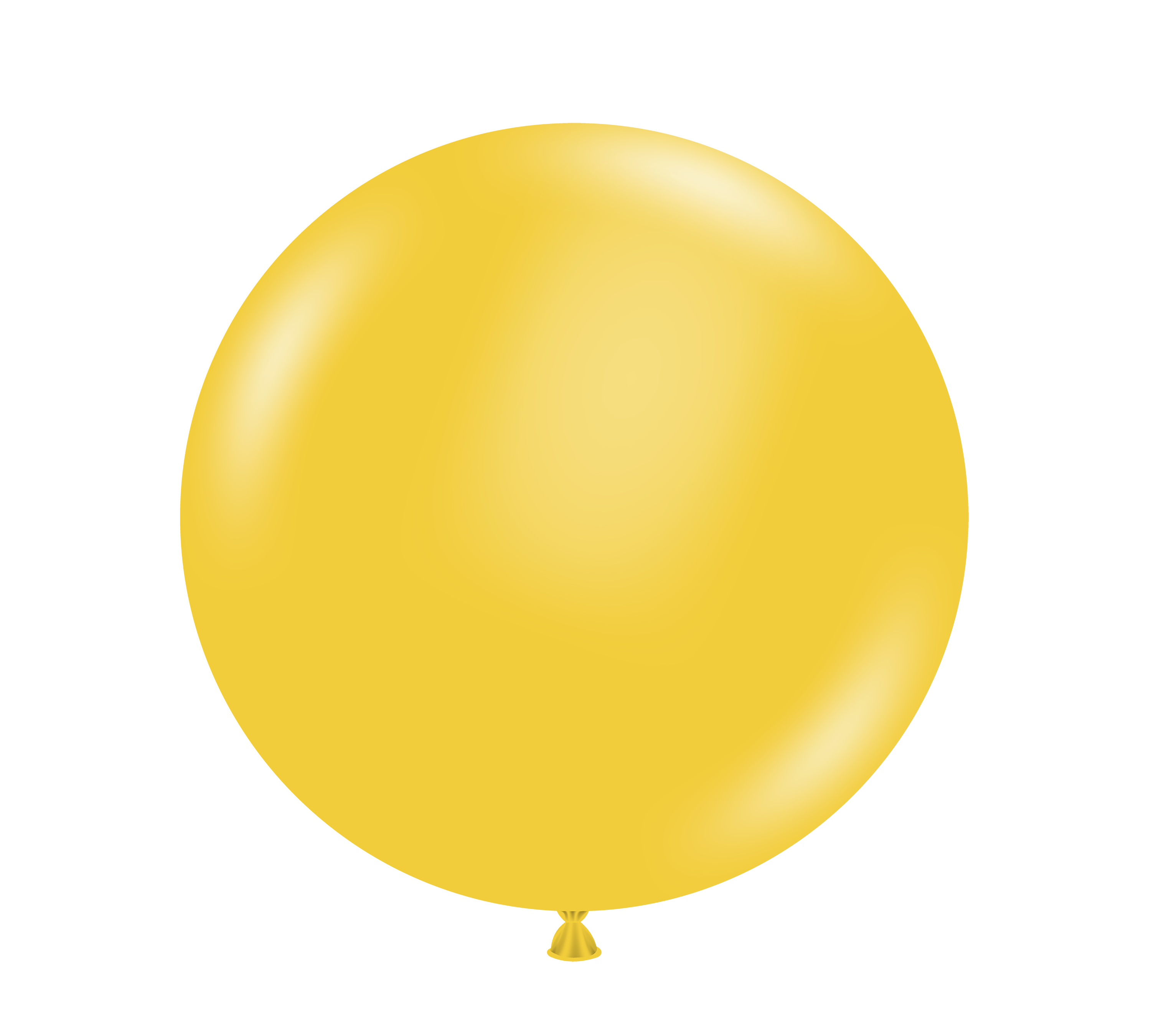 24" Goldenrod (3 Stück)