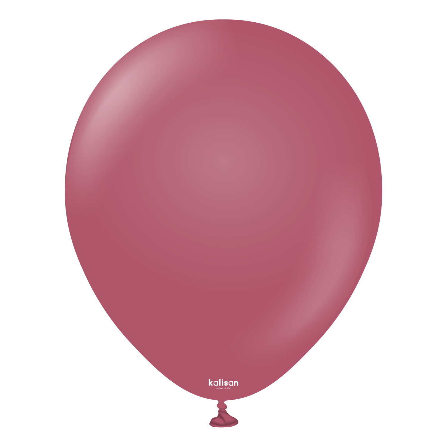 18" Retro Wild Berry (25 Stück)