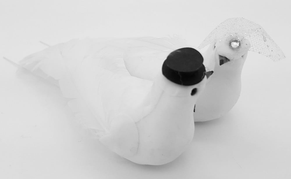 Brautpaar Taube 16cm