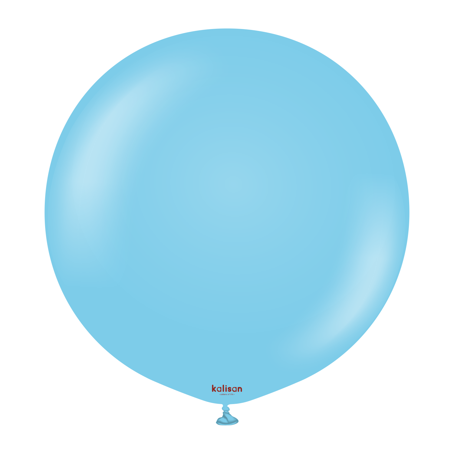 24" Standard Baby Blue (2 Stück)