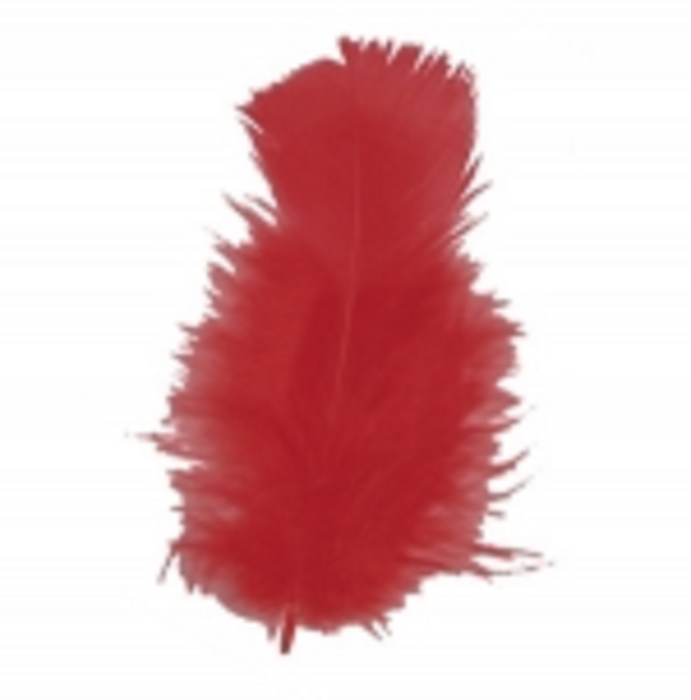 Schmuckfedern rot (100g)