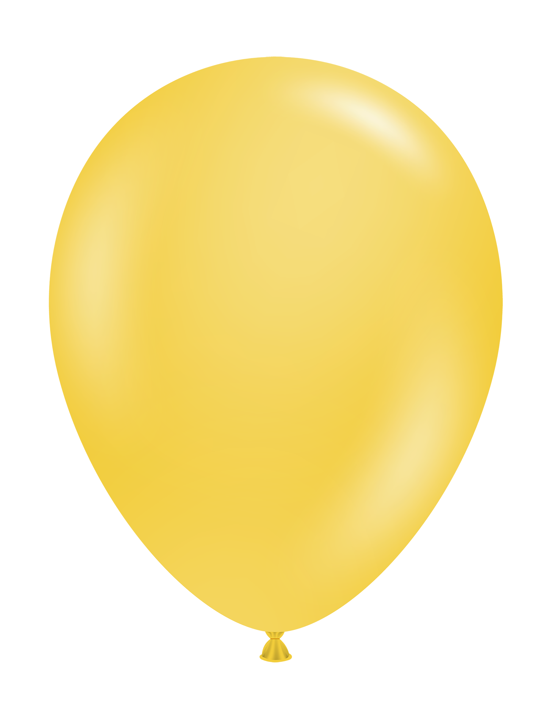 17" Goldenrod (25 Stück)
