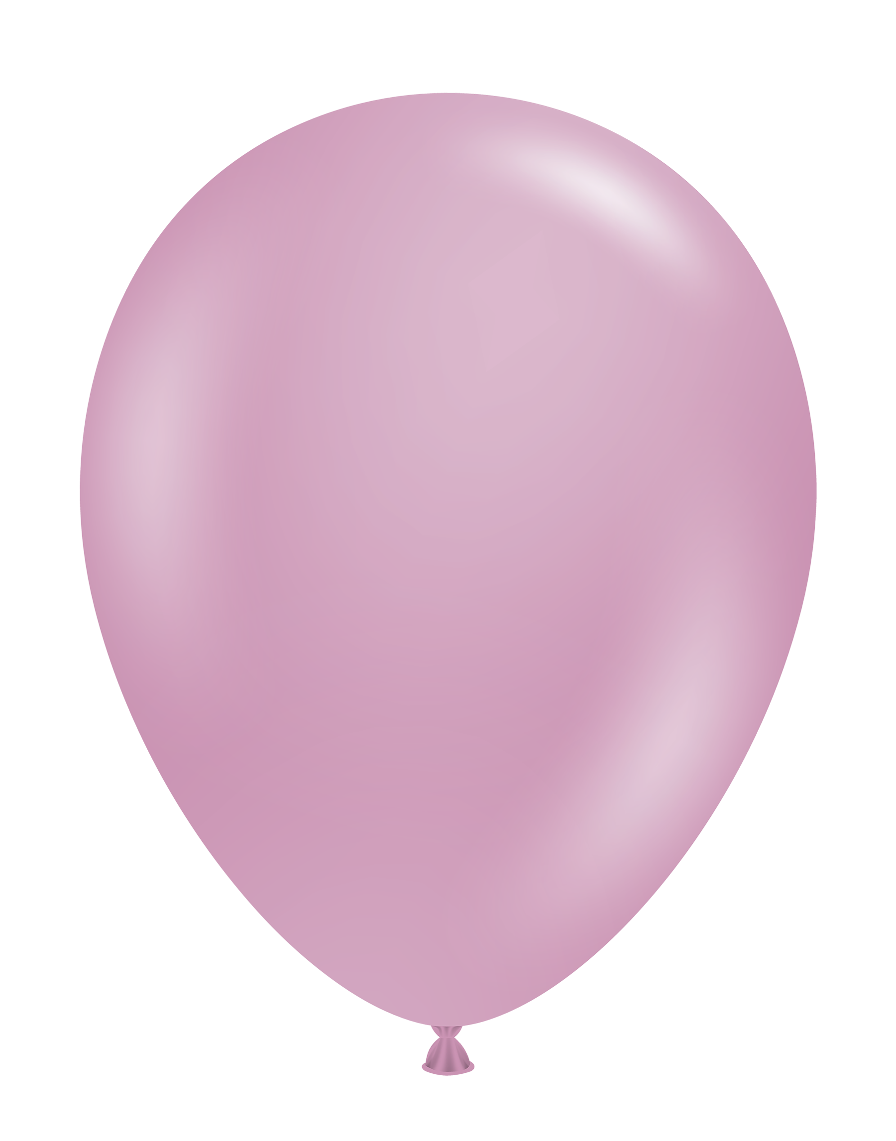 17" Canyon Rose (25 pcs.)