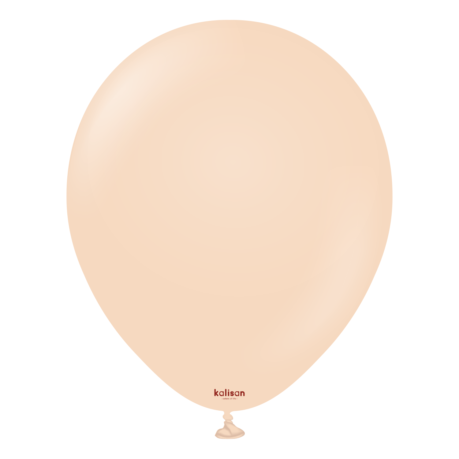 5" Standard Blush (100 Stück)