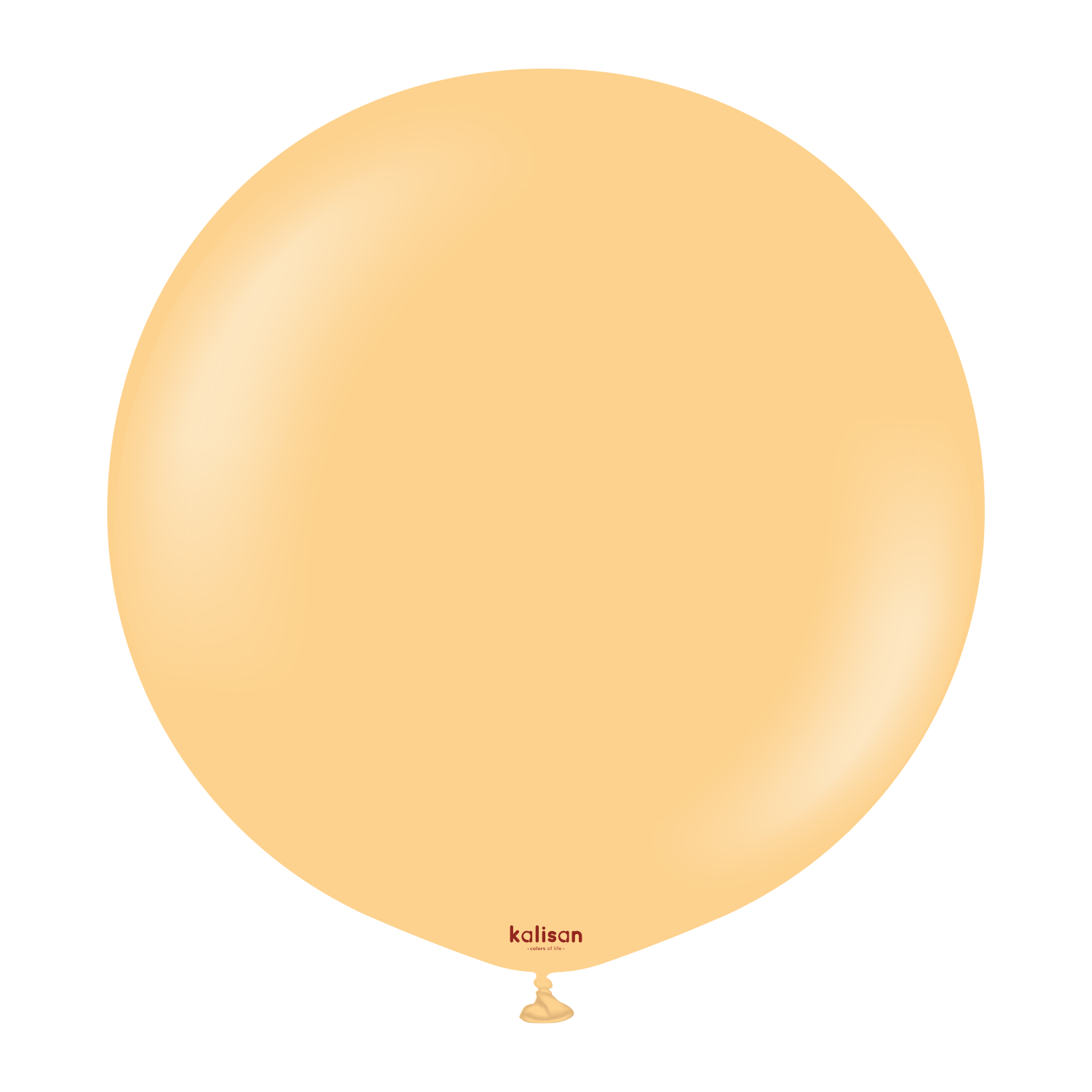 24" Standard Peach (2 Stk.)