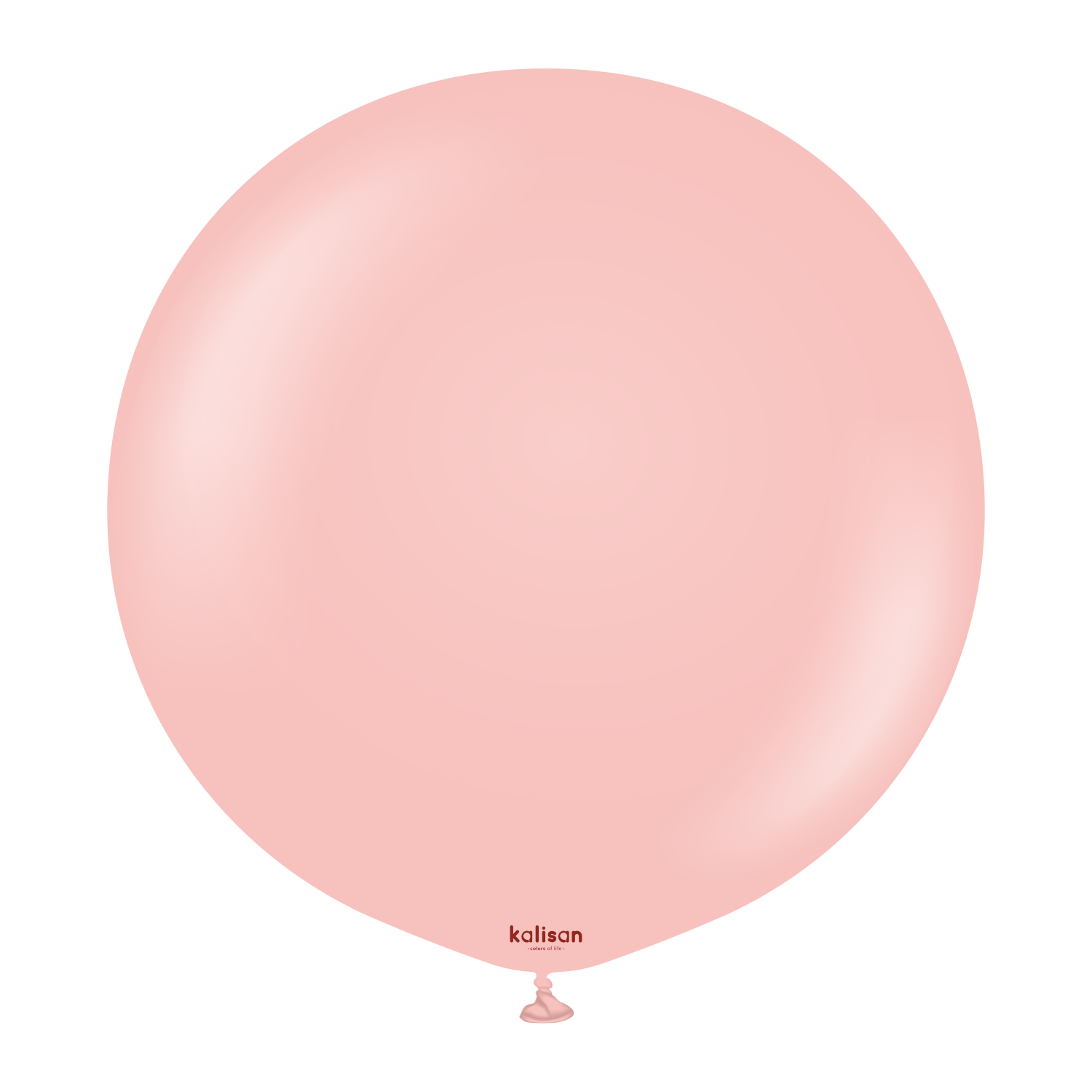 24" Standard Baby Pink (2 Stück)
