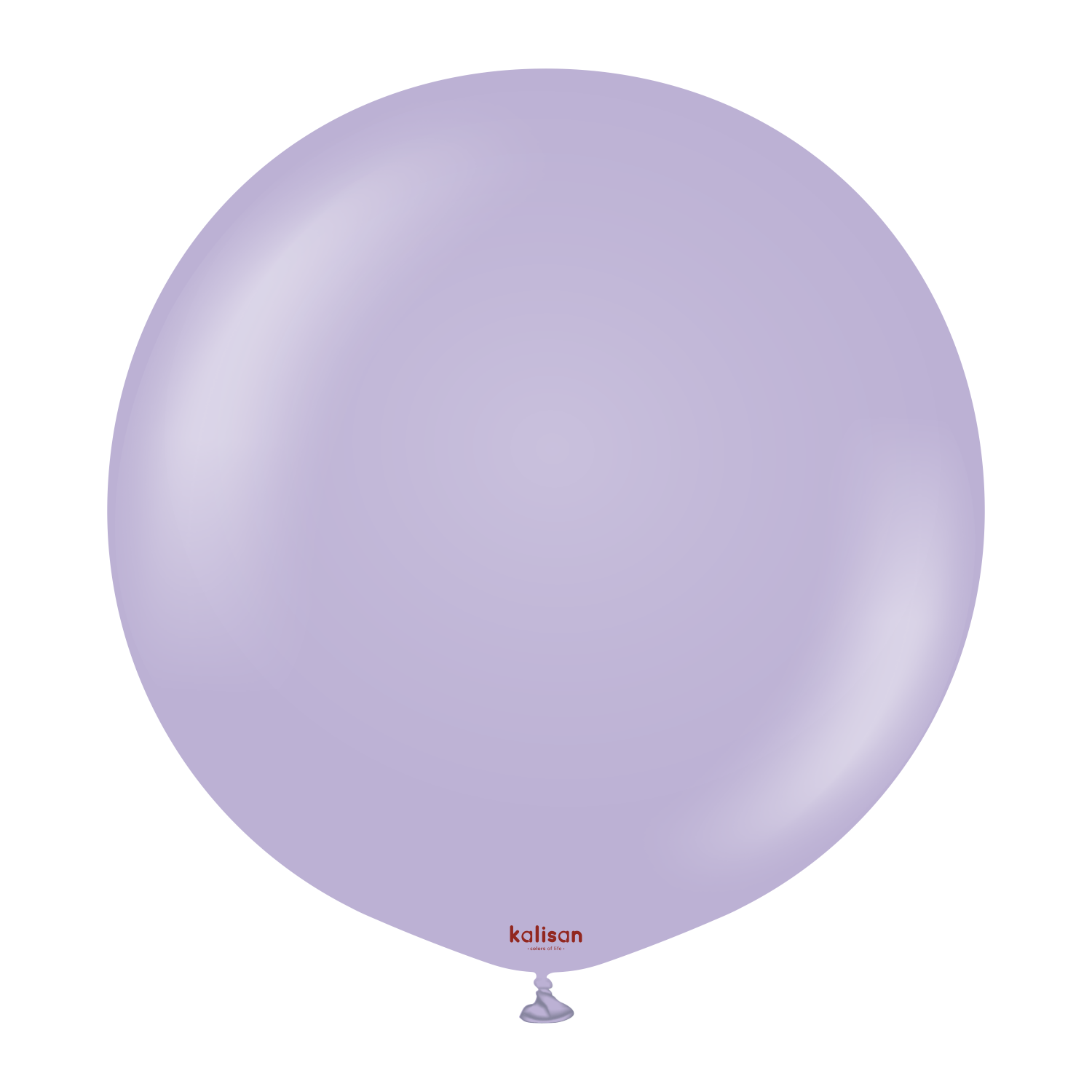 24" Standard Lilac (2 Stück)