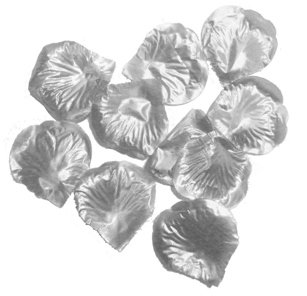 Rosenblätter silber