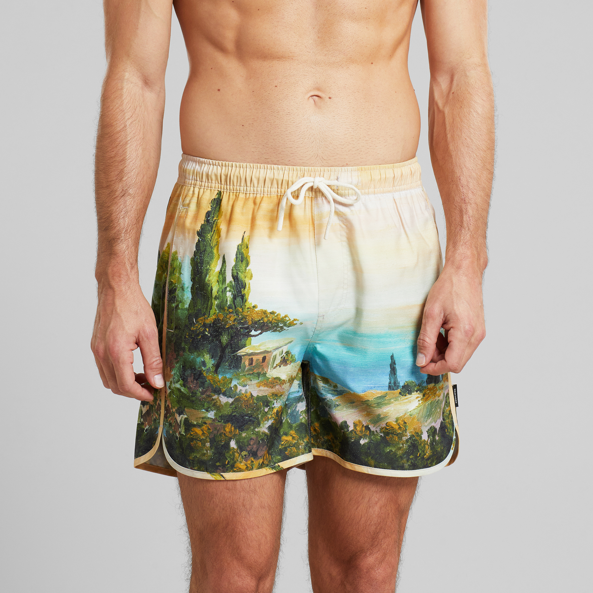 Bade-Shorts Sandhamn Oceanview Multi Color