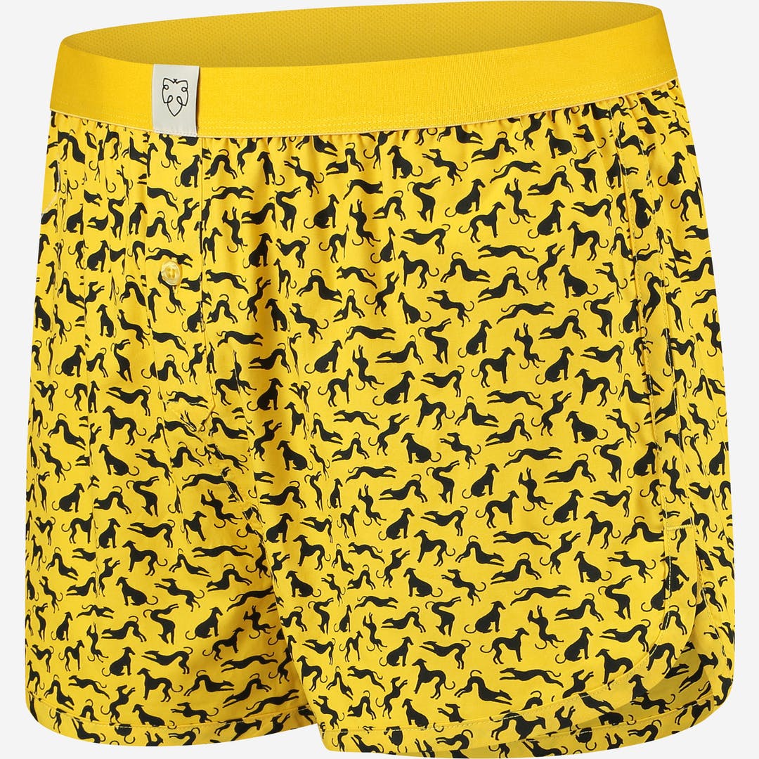 Gelbe Boxer-Shorts Dorian - Hunde-Print