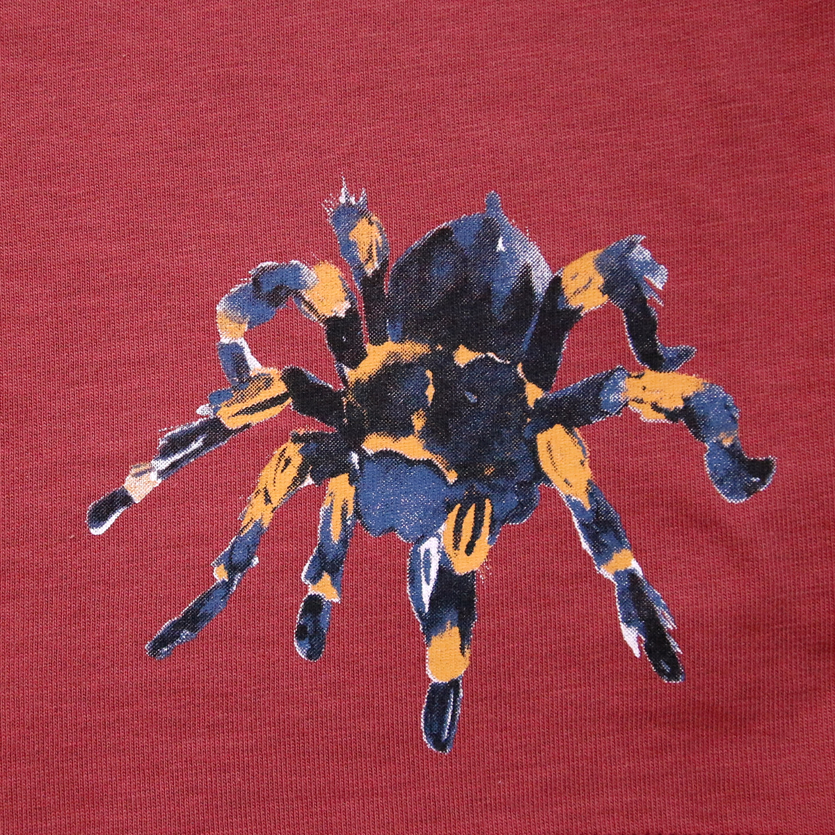Kinder-Langarmshirt mit Spinne rost