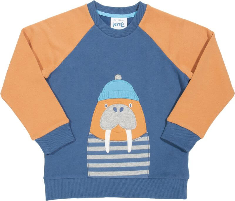 Cooles Jungs-Sweatshirt mit Walross