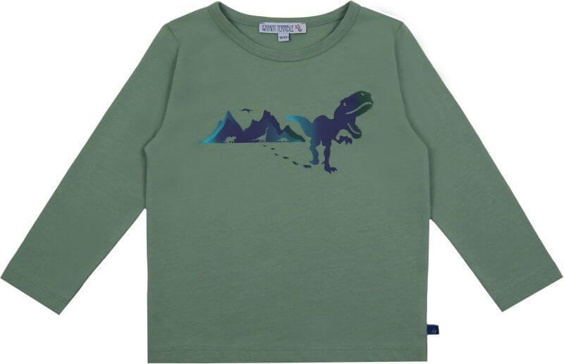 Jungs-Longsleeve mit Dinodruck salbei