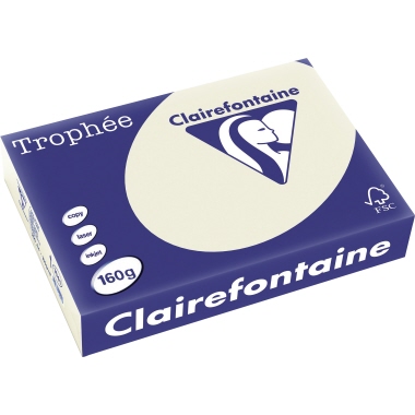 Clairefontaine Kopierpapier 1041C A4 160g grau 250Bl.