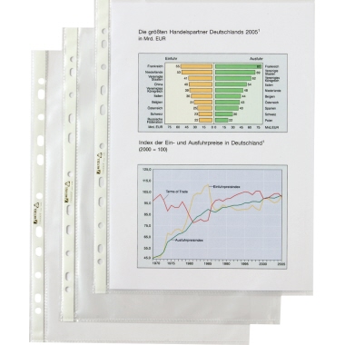 Hetzel Prospekthülle Economic 22464490 DIN A4 100 St./Pack.