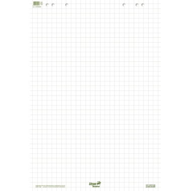 Ursus Staufen Flipchartblock Green 608580020 68x99cm 20Bl. kariert