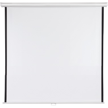 Franken Rolloleinwand LWR22424 240x240cm