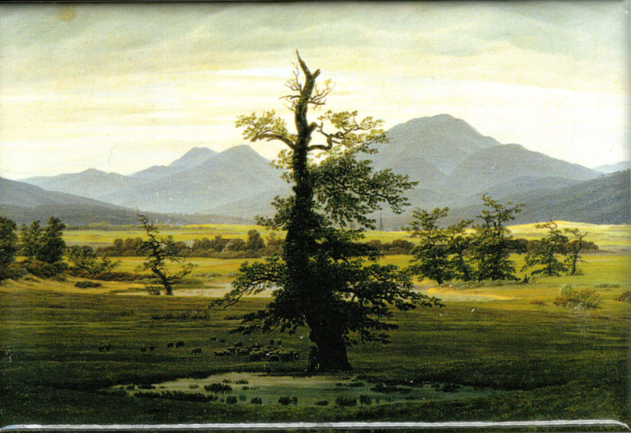 Kunstmagnet Caspar David Friedrich: Der einsame Baum