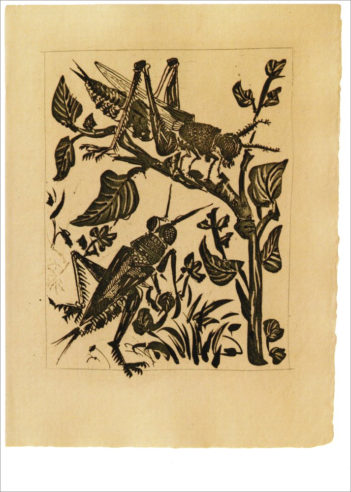Kunstkarte Pablo Picasso "Heuschrecken" Kunstkarte Pablo Picasso "Heuschrecken"