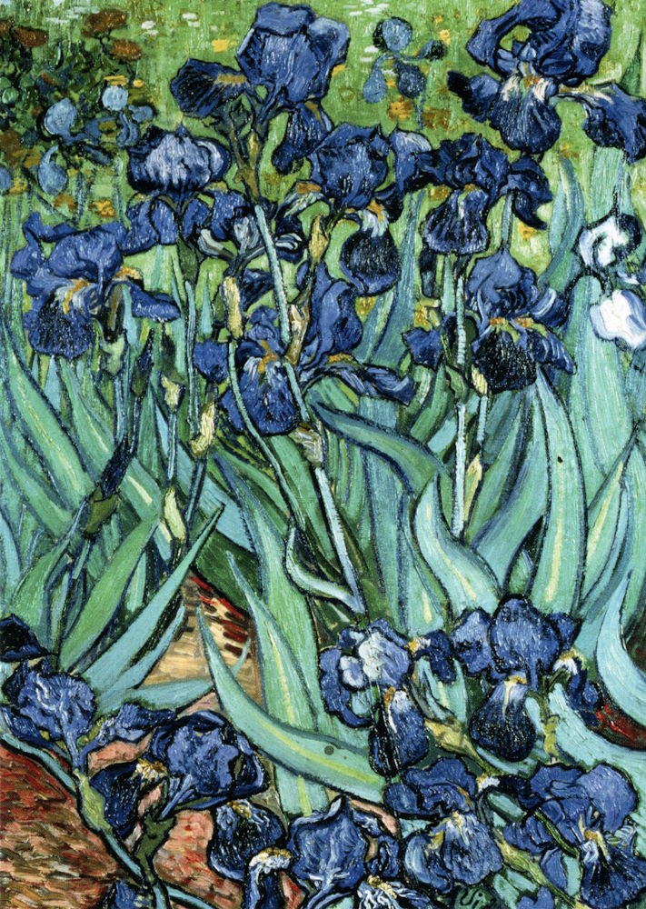 Kunstkarte Vincent van Gogh "Iris (Schwertlilien)"