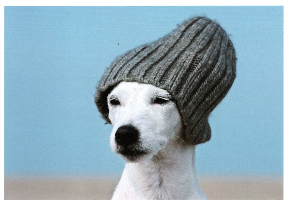 Postkarte "Coole Mütze" Postkarte "Coole Mütze"