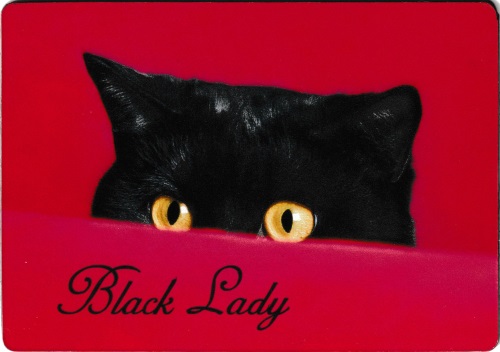 Kühlschrankmagnet "Black Lady" Kühlschrankmagnet "Black Lady"