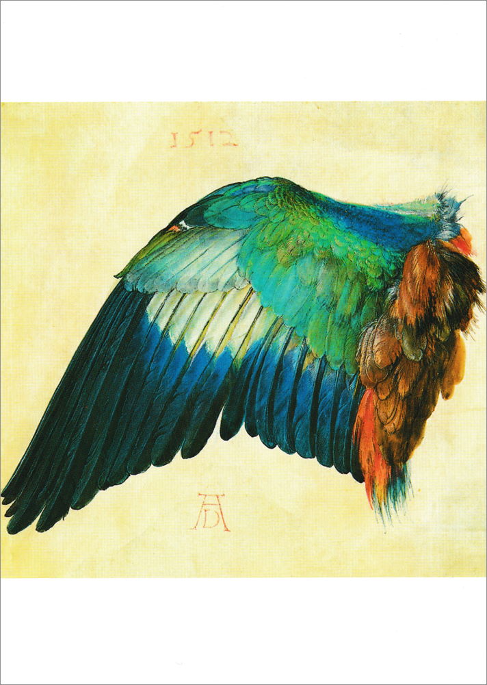 Kunstkarte Albrecht Dürer "Blauracke" Kunstkarte Albrecht Dürer "Blauracke"