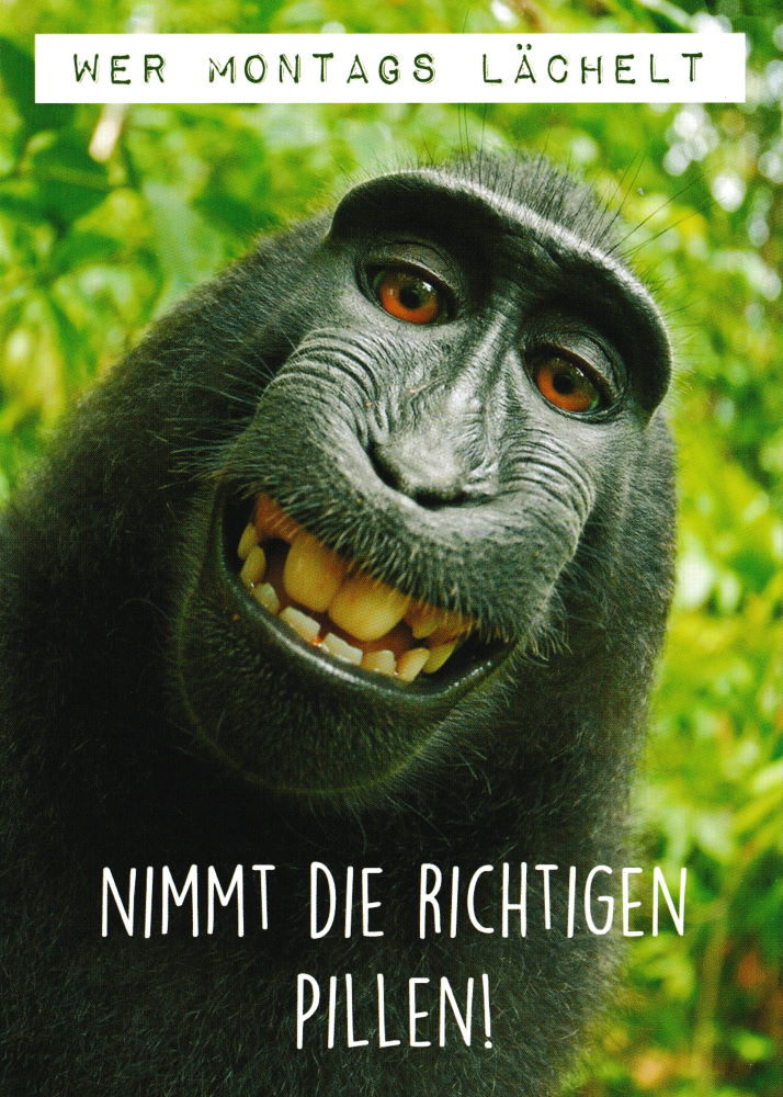 Postkarte "Wer Montags lächelt, nimmt die richtigen Pillen!" Postkarte "Wer Montags lächelt, nimmt die richtigen Pillen!"
