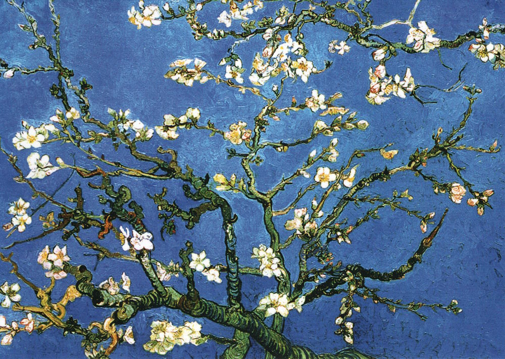 Kunstkarte Vincent van Gogh "Blühende Mandelbaumzweige"