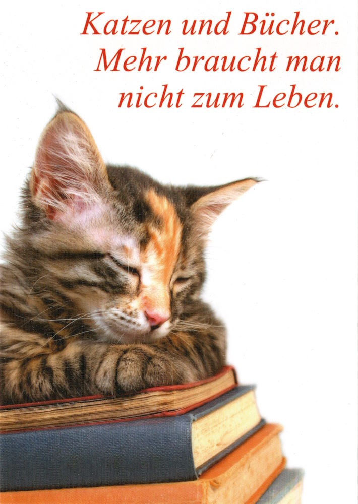 Postkarte "Katzen und Bücher. Mehr braucht man nicht zum Leben." Postkarte "Katzen und Bücher. Mehr braucht man nicht zum Leben."