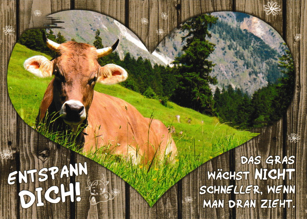 Postkarte "Wiesenglück: Entspann Dich!"