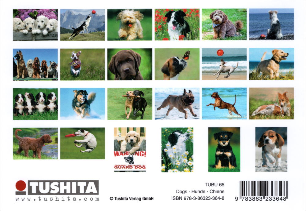 Postkartenbuch "Dogs * Hunde * Chiens" mit 24 süßen Hundemotiven Postkartenbuch "Dogs * Hunde * Chiens" mit 24 süßen Hundemotiven