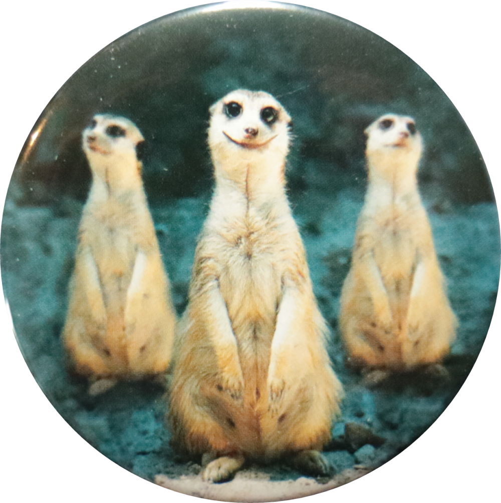 Kühlschrankmagnet "Erdmännchen"