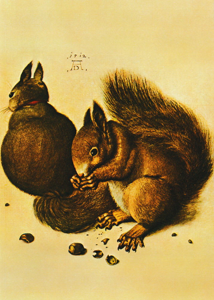 Kunstkarte Albrecht Dürer "Eichhörnchen"
