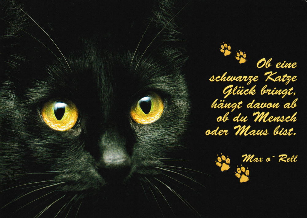 Postkarte "Ob eine schwarze Katze Glück bringt, hängt davon ab ..."