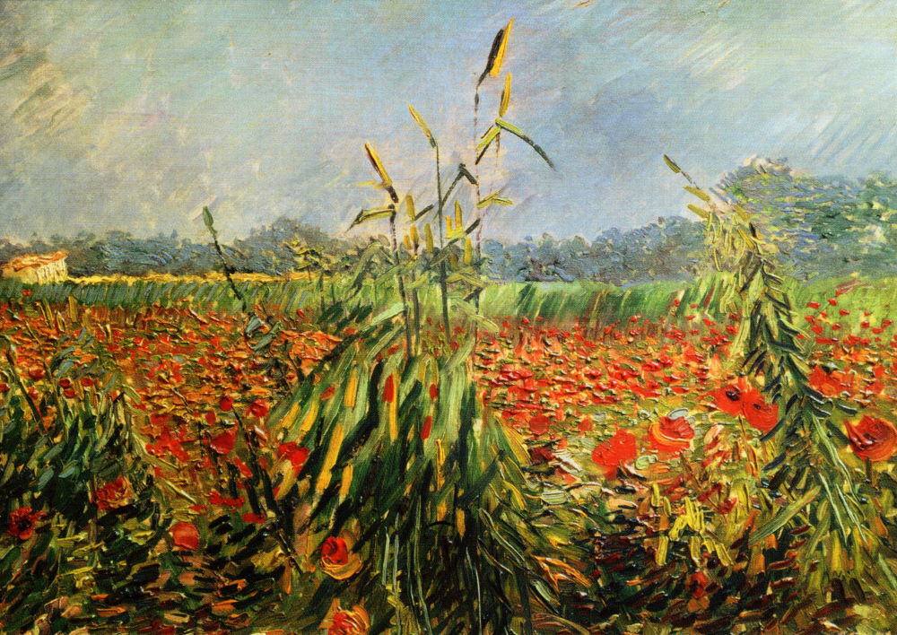 Kunstkarte Vincent van Gogh "Grüne Kornhalme, Arles"