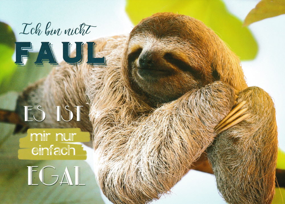 Postkarte "Ich bin nicht faul. Es ist mir nur einfach egal." Postkarte "Ich bin nicht faul. Es ist mir nur einfach egal."