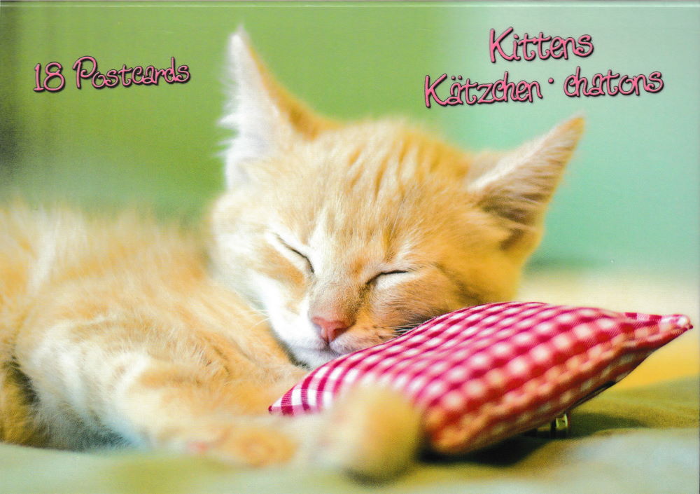 Postkartenbuch "Kittens * Kätzchen * chatons" mit 18 süßen Katzen-Motiven